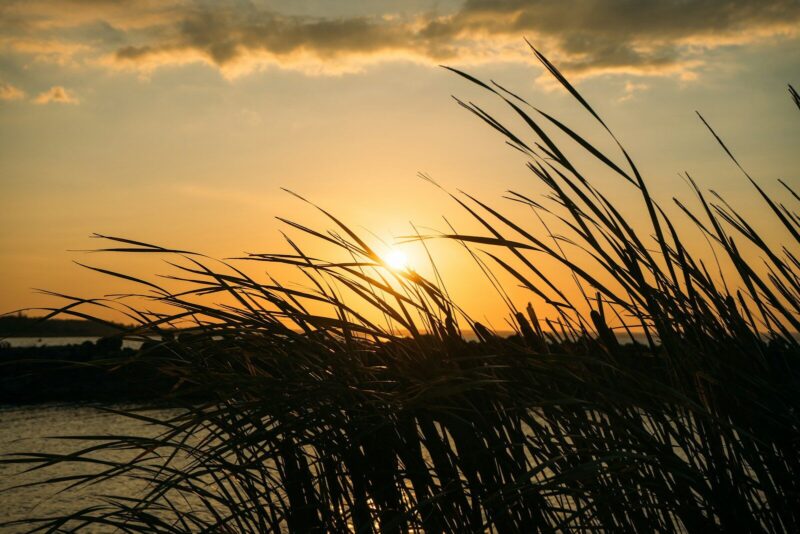 Acht Wochen Sommerferien in NRW? Das steckt hinter der aktuellen Schlagzeile