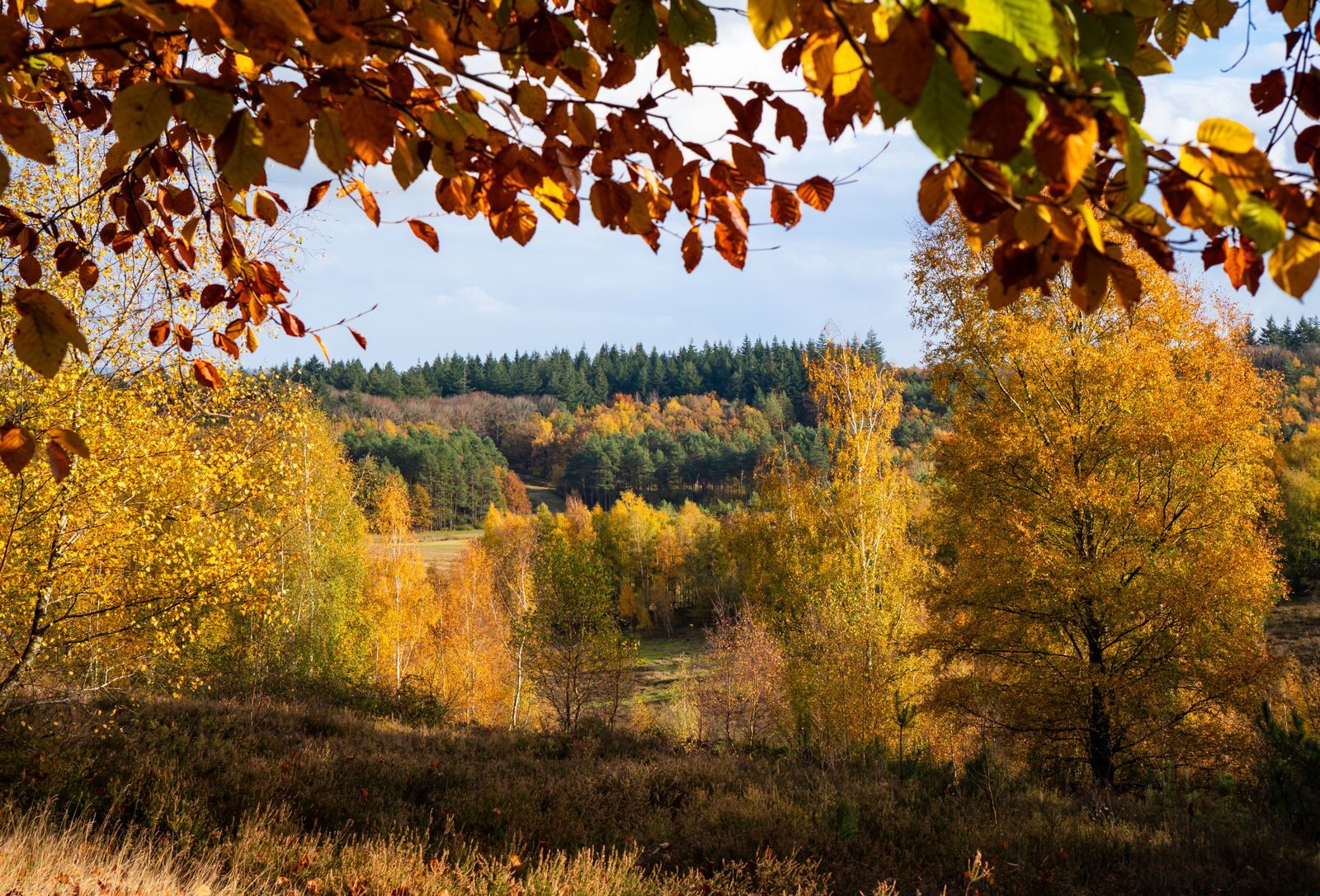 Herbstferien in NRW 2026 – das zählt bei Schule, Urlaub und Co. im Kalender