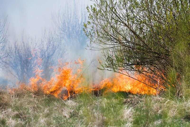 Waldbrandgefahr in NRW – das macht die Lage 2026 so gefährlich